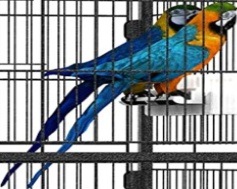 Hygrad Large 132Cm Rolling Portable Metal Bird Cage With Wheels Cockatoo Parrot Budgies - Image 2