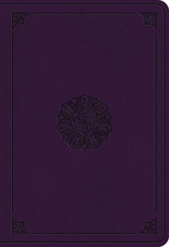 ESV Student Study Bible - 9781433564505