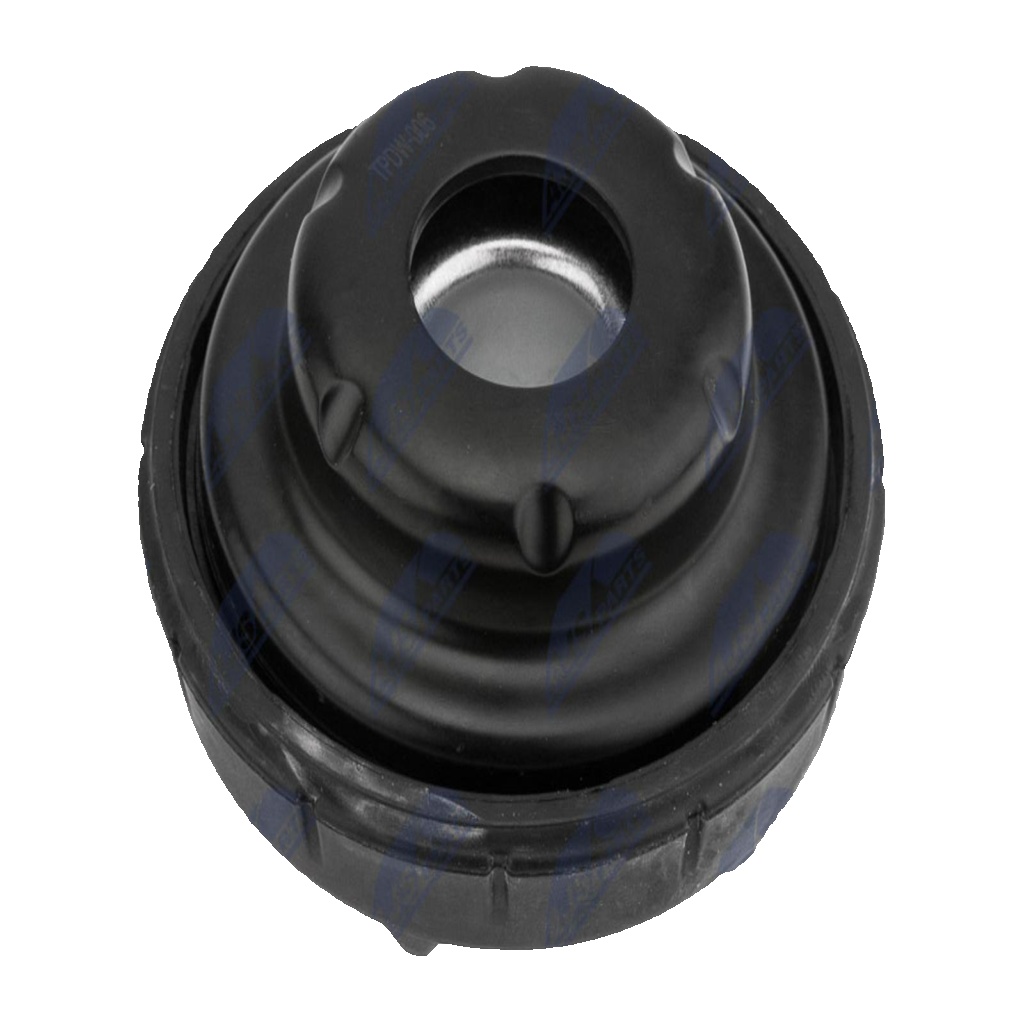 N.T.Y. AD-DW-006.NTY Repair Kit, suspension strut for CHEVROLET,OPEL,VAUXHALL