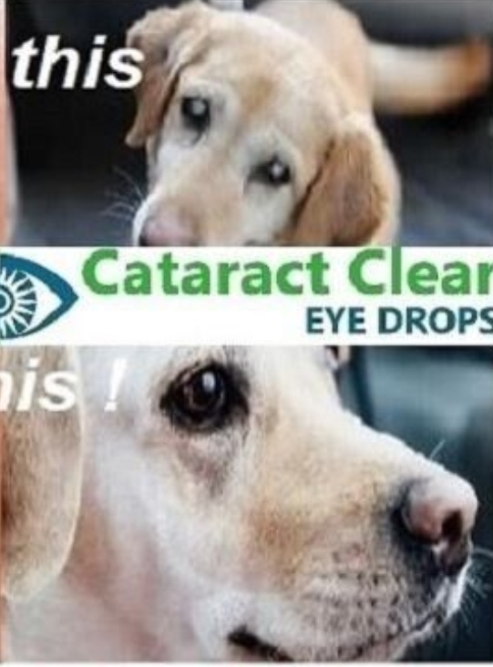 N-Acetyl-Carnosine Eye Drops 2% Natural Eye Care Solution 10ml For people & pets