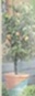 Cuprinol - Garden Shades - Forget Me Not Blue - 5L