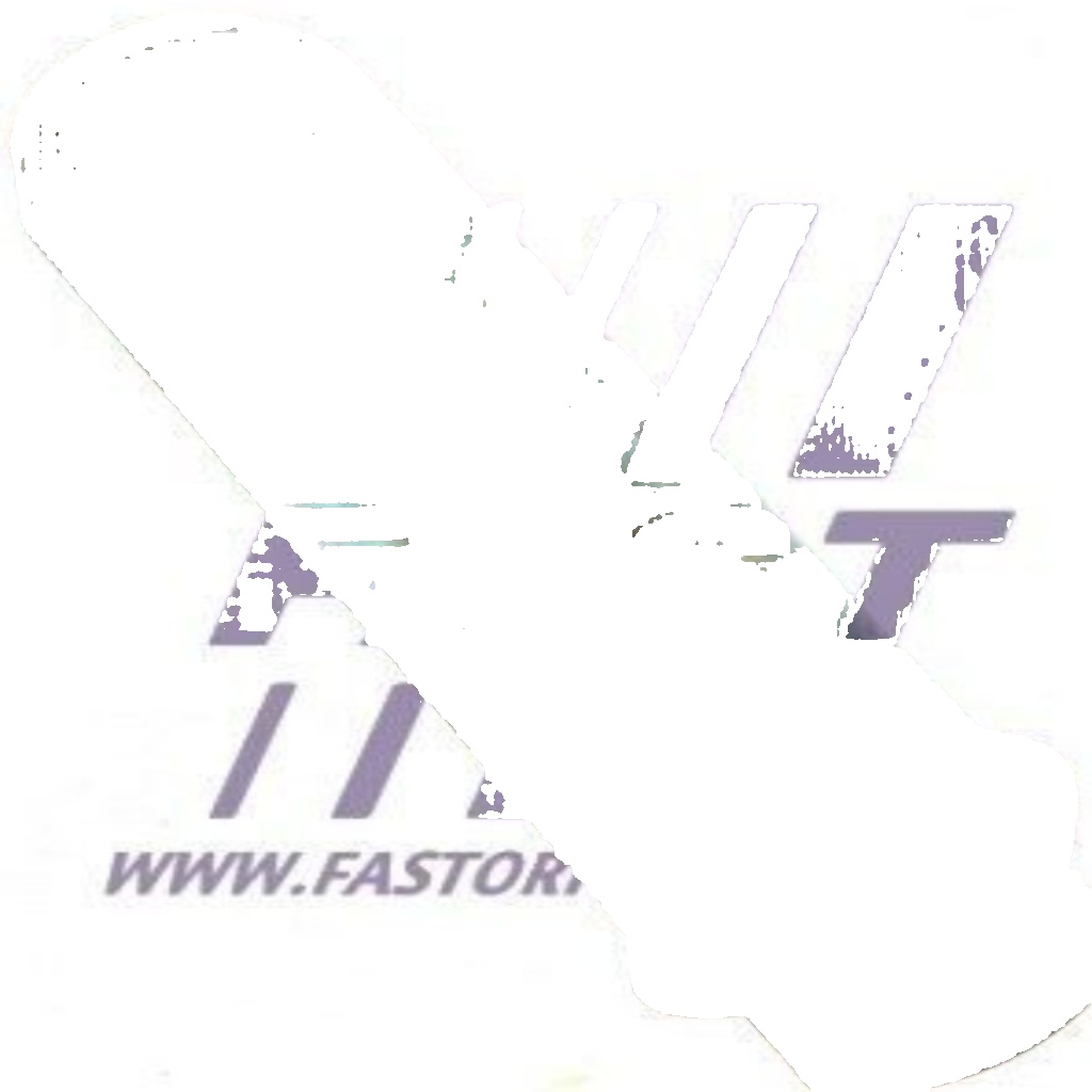 Fits FAST FT44081 TIMING TENSIONER FIAT DUCATO 02> MUFFLER  ⭐UK Stock⭐