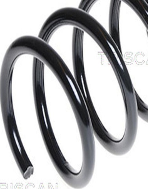 Rear LESJÖFORS 4227609 Suspension Spring for FORD - Image 9