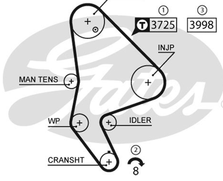 GATES POWERGRIP WPK - KP15588XS