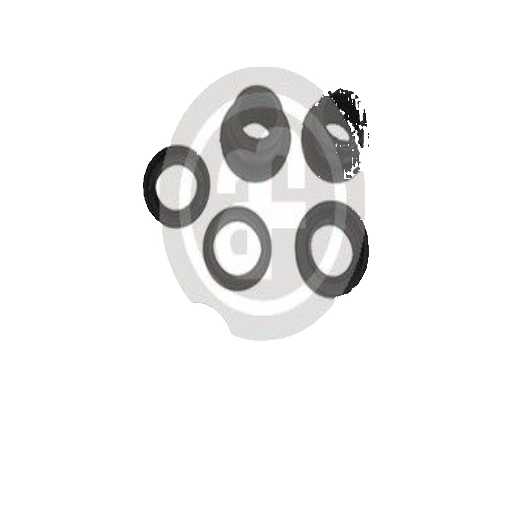 Fits AUTOFREN SEINSA D1526 HAM PUMP REPAIRER. BMW E32-E34   ⭐UK Stock⭐