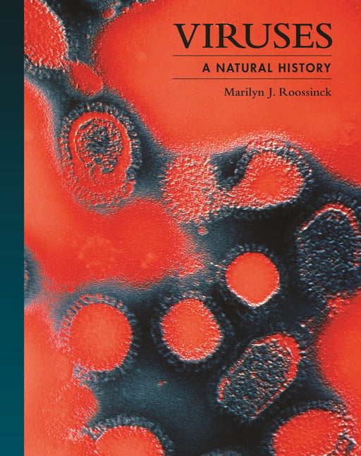 Viruses by Marilyn J. Roossinck HARDBACK 9780691237596 - Image 7