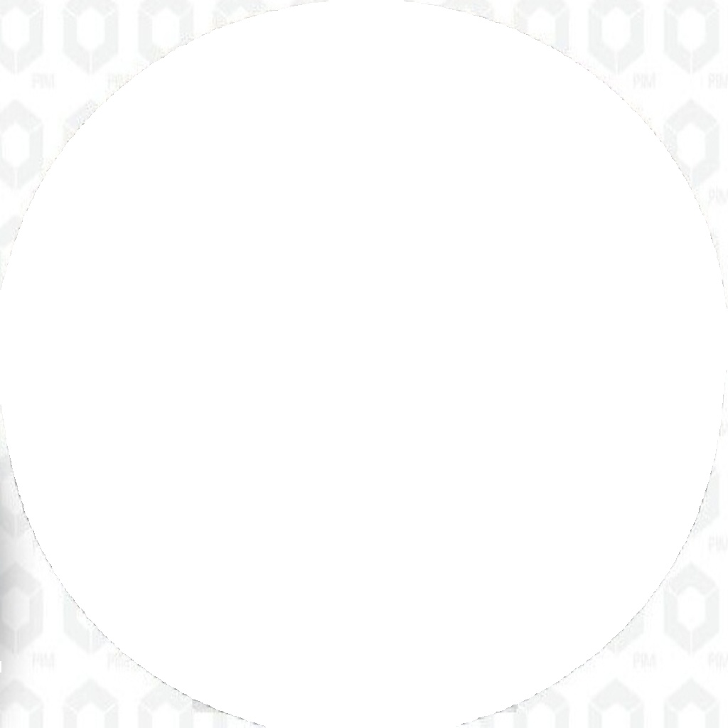 Blueprint ADC44342 Brake Disc Front Fits Mitsubishi Carisma Colt Lancer Proton