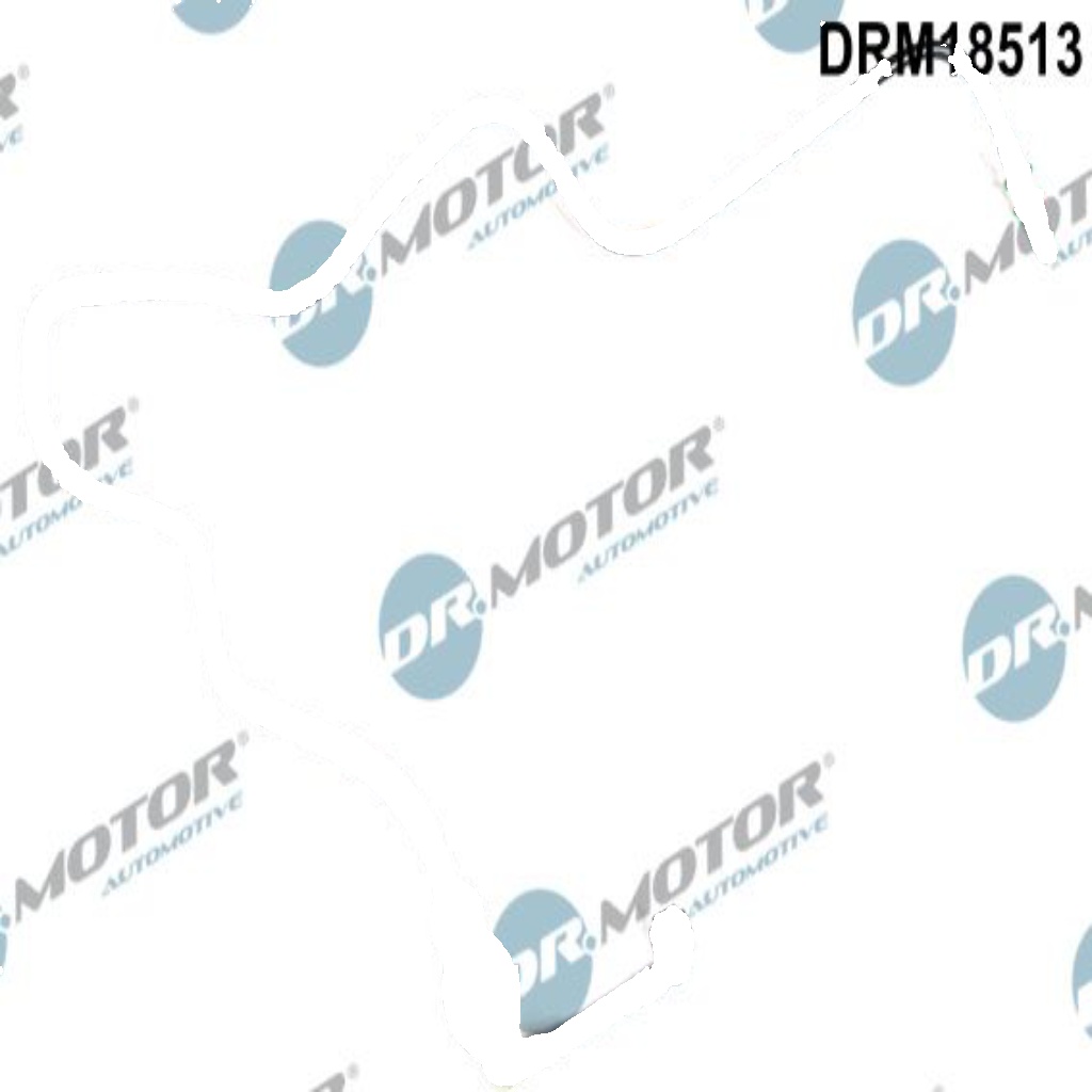 DRM18513 Dr.Motor Automotive Fuel Line for RENAULT