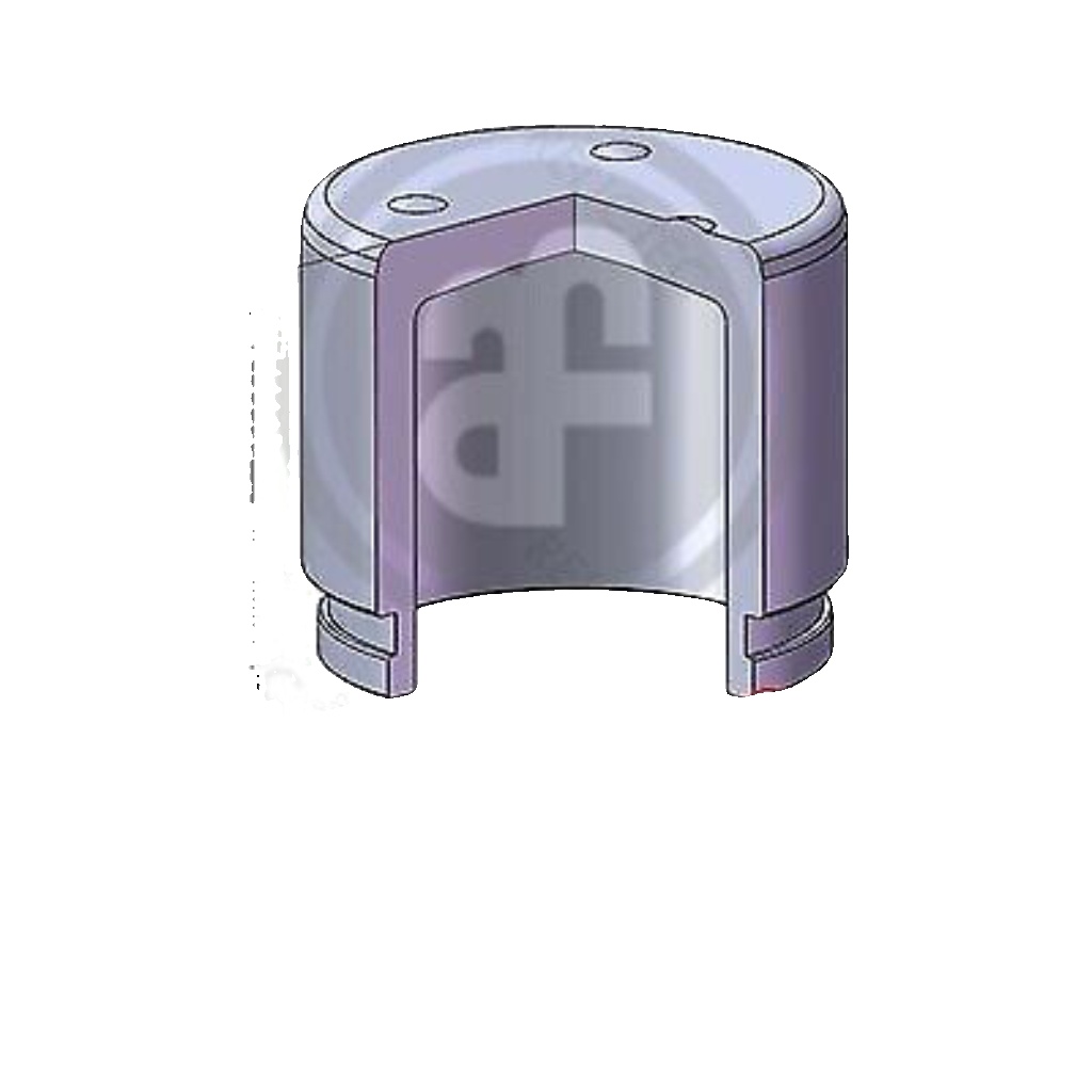 ✅Fits AUTOFREN SEINSA D025134 BRAKE CALIPER PISTON. NISSAN PATROL GR ⭐UK Seller⭐
