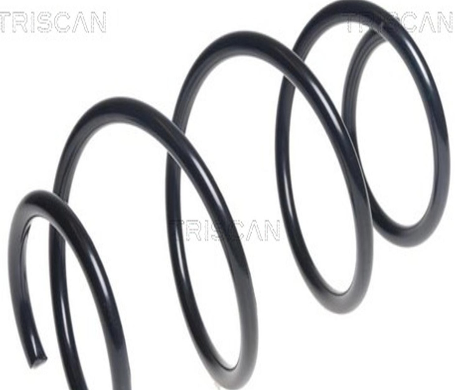 Fits LESJ�FORS 4008524 Suspension Spring - Image 5