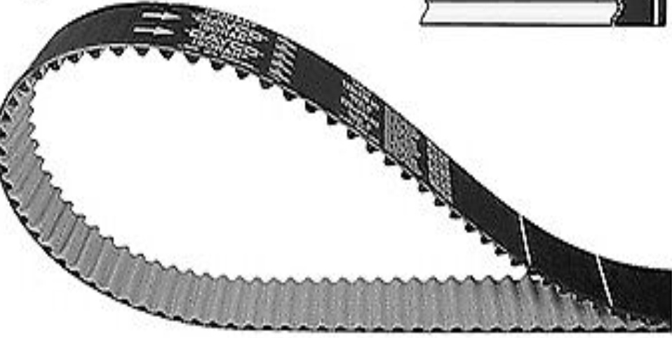DAYCO-OE 941024 Timing Belt for AUDI,SEAT,SKODA,VW