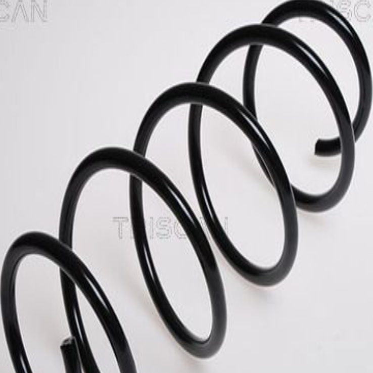 Front LESJÖFORS 4027591 Suspension Spring for FORD