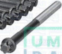 AJUSA 81004500 Bolt Kit, cylinder head for BERTONE,BMW