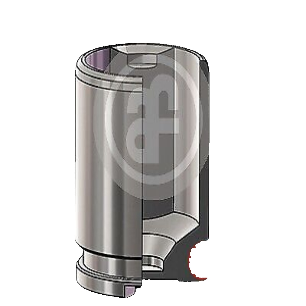 Rear AUTOFREN SEINSA D025536 Piston, brake caliper for AUDI,JAGUAR,SEAT,VOLVO,VW