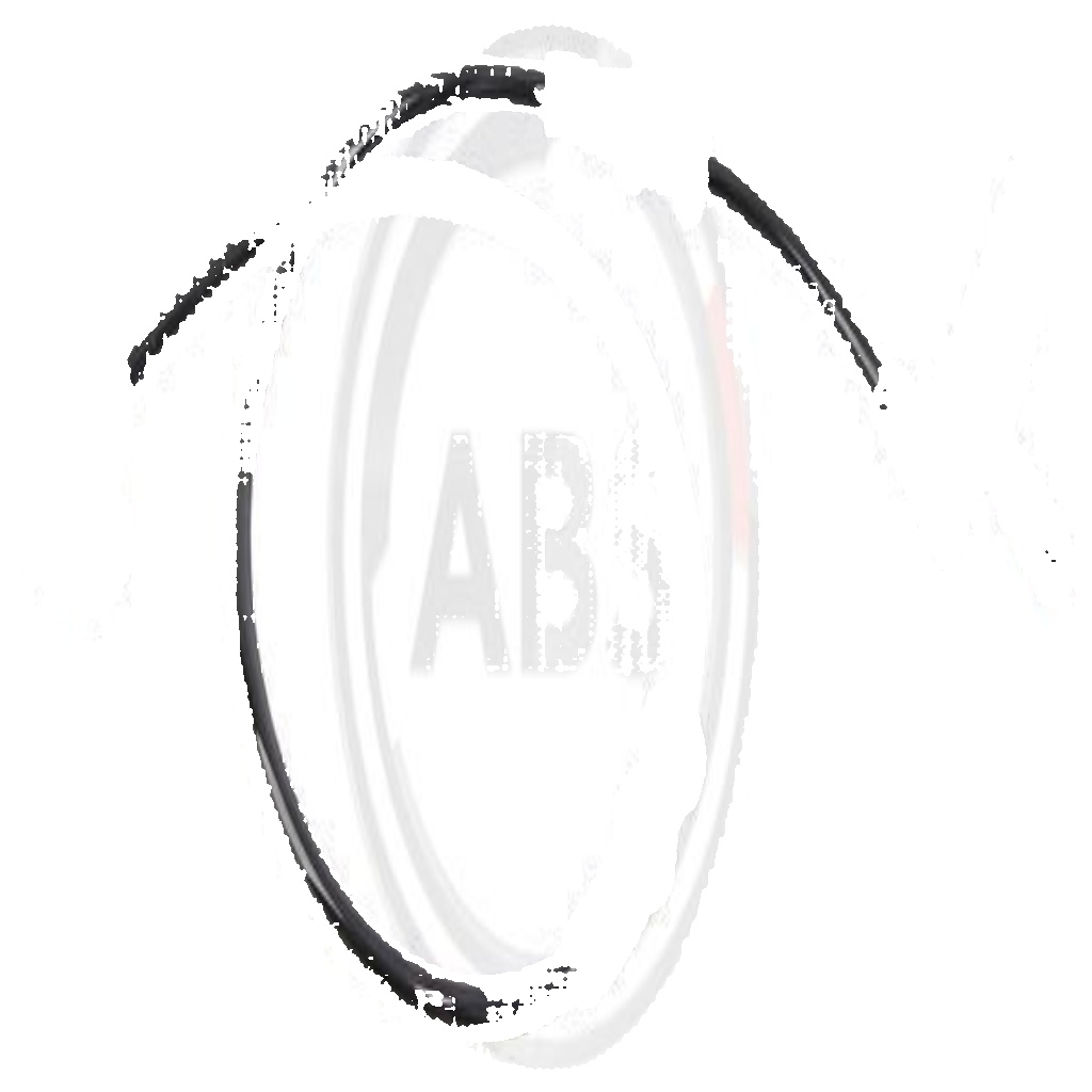 30109 A.B.S. Sensor, wheel speed for MERCEDES-BENZ
