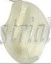 Front 3RG 24616 Repair Kit, gear shift lever for RENAULT