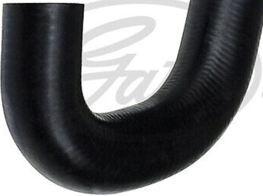 Gates Curved Radiator Hose 53051