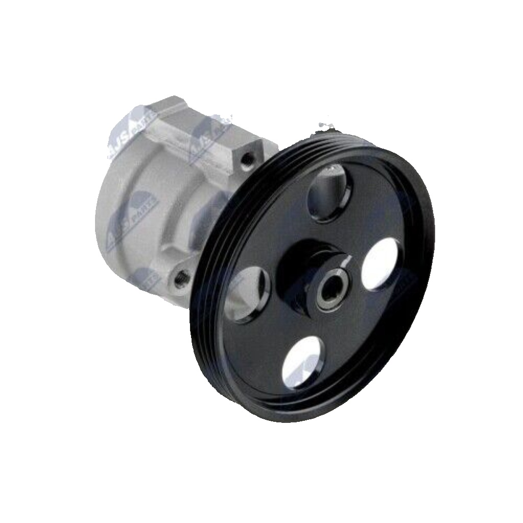 Power steering pump hydraulic with belt pulley SPW-RE-013 NTY for RENAULT DACIA
