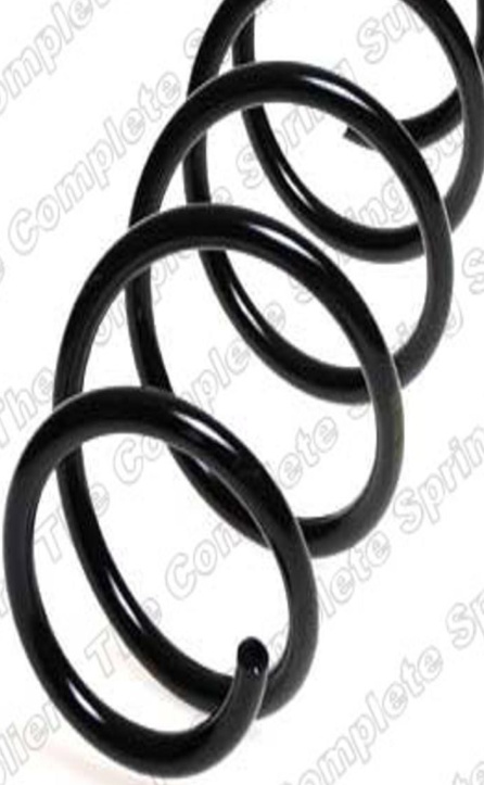 Fits LESJOFORS LS4063519 Coil spring LS4063519 Coil spring front L/R (for vehic - Image 11