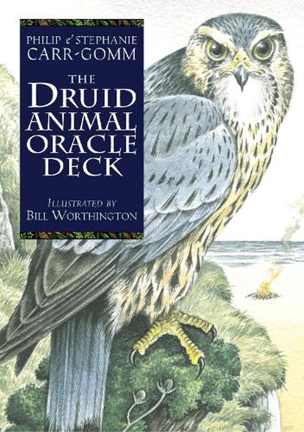 The Druid Animal Deck by Philip Carr-Gomm CARDS / POSTCARDS 9781800691254 - Image 4
