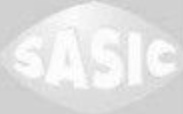 Transmission End SASIC 1904005 Bellow Set, drive shaft for RENAULT