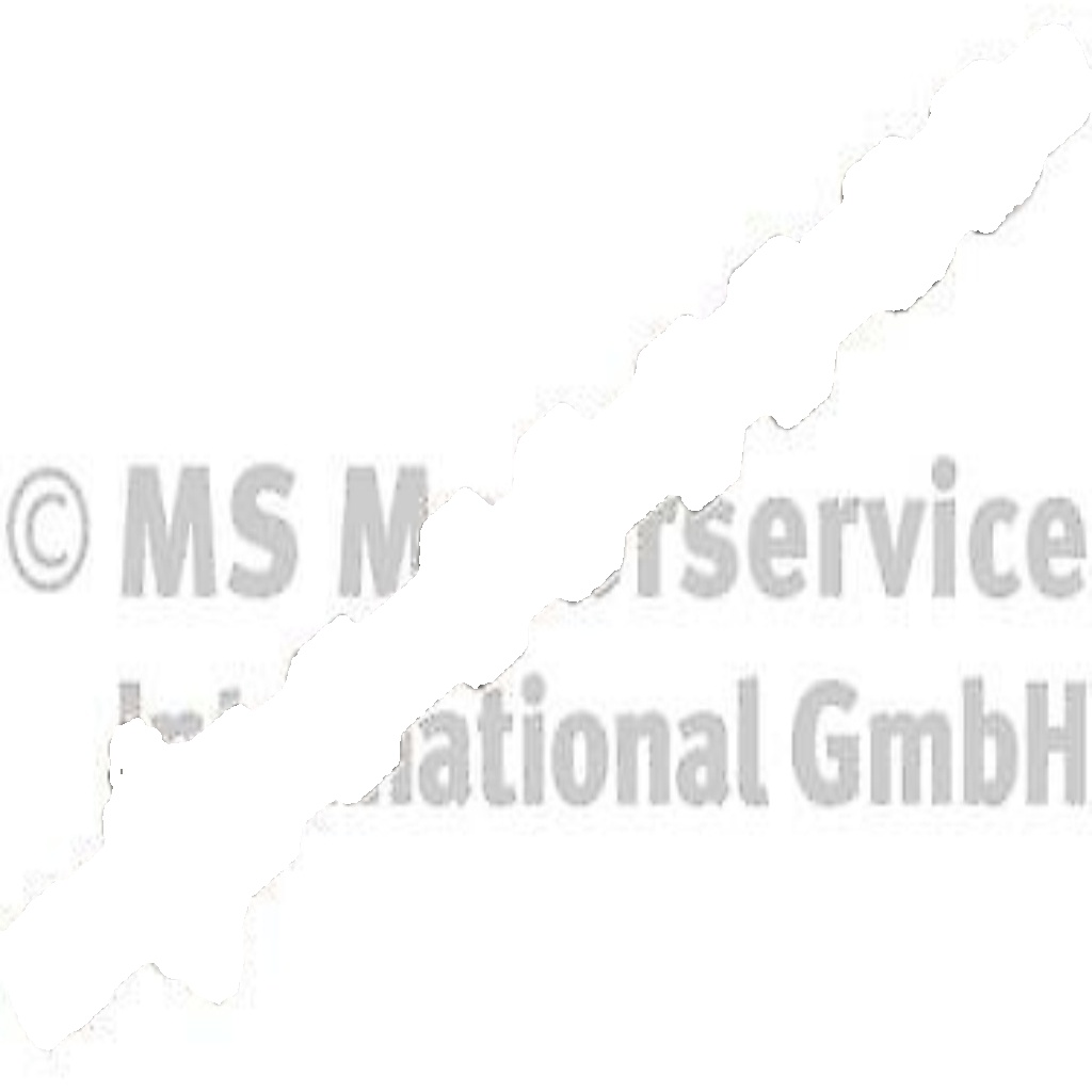 Camshaft Intake Side 50007093 KOLBENSCHMIDT for FORD PEUGEOT CITROËN VOLVO MINI