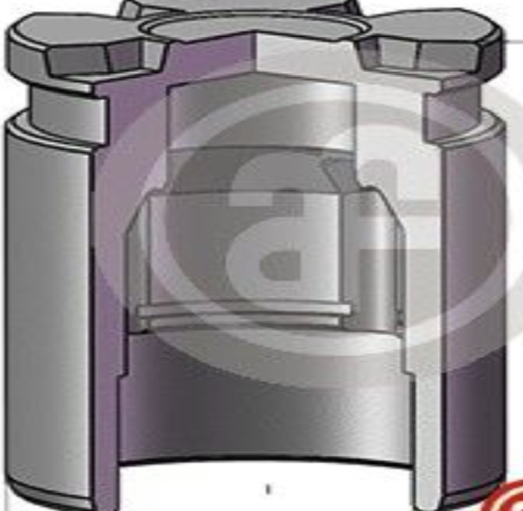 Fits AUTOFREN SEINSA D0-25698 Piston, brake caliper D0-25698 Brake ca ⭐UK Stock⭐