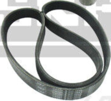 V-Ribbed Belt Set SKF VKMA 31111 Fits Audi Seat Skoda VW A3 Altea Altea XL