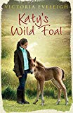 Katy's Exmoor Ponies: Katy's Wild Foal