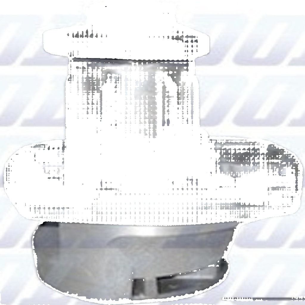 DOLZ A223 Water Pump for ALFA ROMEO,NISSAN
