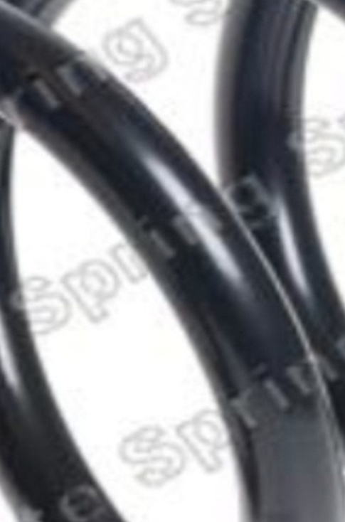 Suspension spring Rear Axle Coil Spring 4262076 LESJÖFORS for NISSAN
