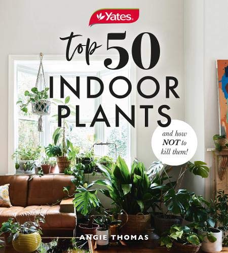 Yates Top 50 Indoor Plants And How Not To Kill Them! - Image 3