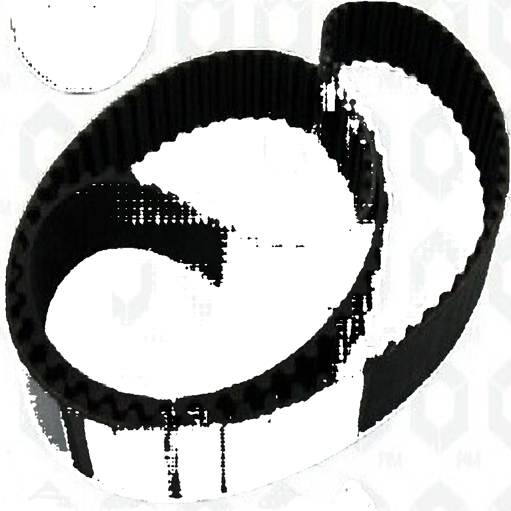 Timing Belt Set for DACIA NISSAN RENAULT SKF VKMA 06134