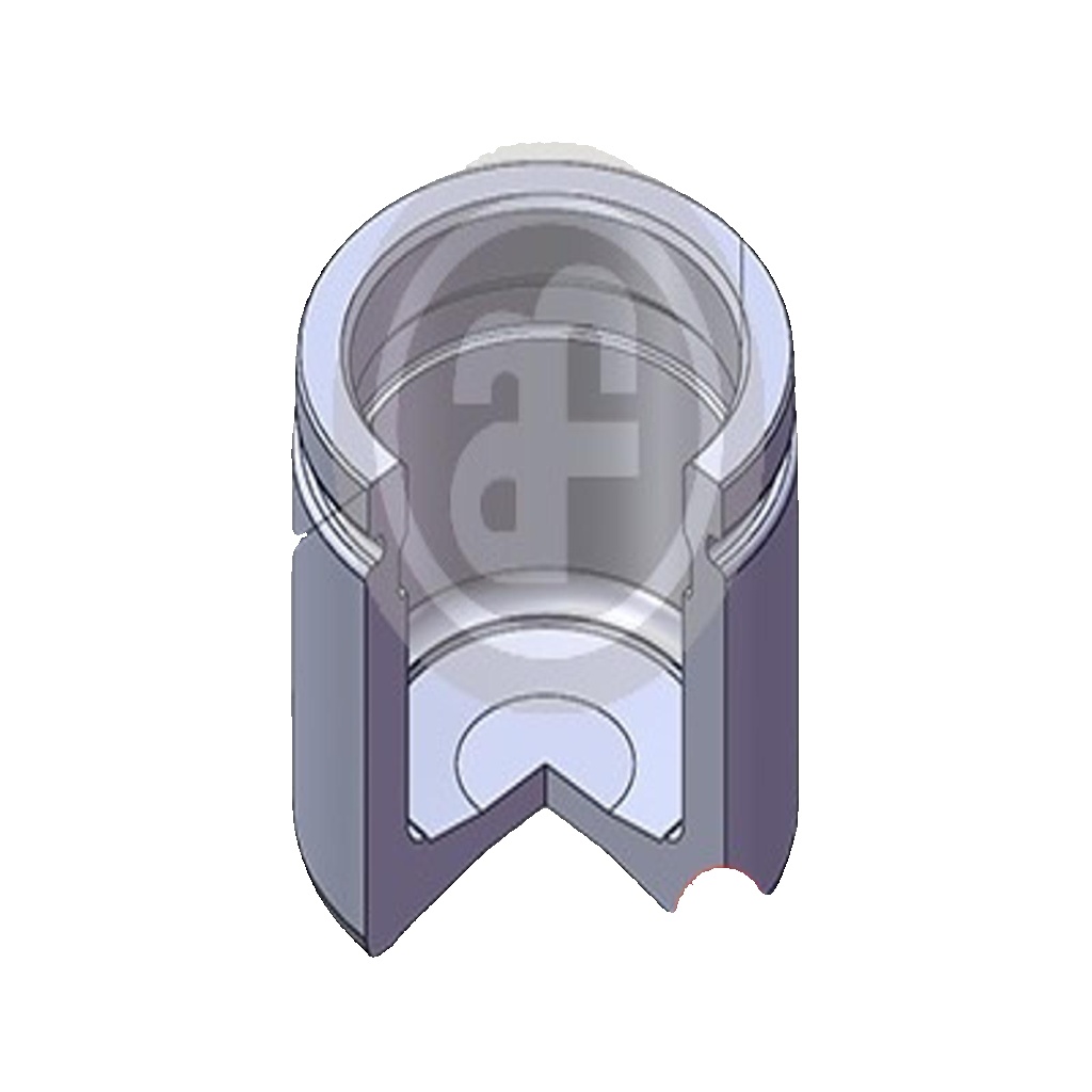 Fits AUTOFREN SEINSA D02581 CALIPER PISTON P DIA.48 H 51.1  ⭐UK Stock⭐