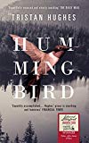 Hummingbird By Tristan Hughes