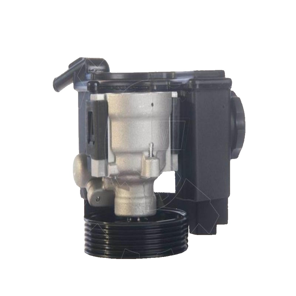 Power steering pump hydraulic with belt pulley 10SKV171 ESEN SKV for CITROËN