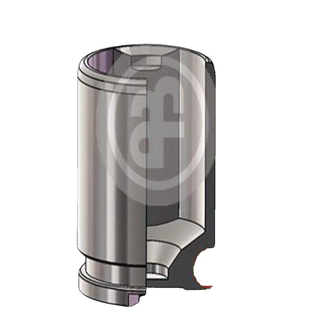 Fits AUTOFREN SEINSA D025536 CALIPER PISTON   ⭐UK Stock⭐
