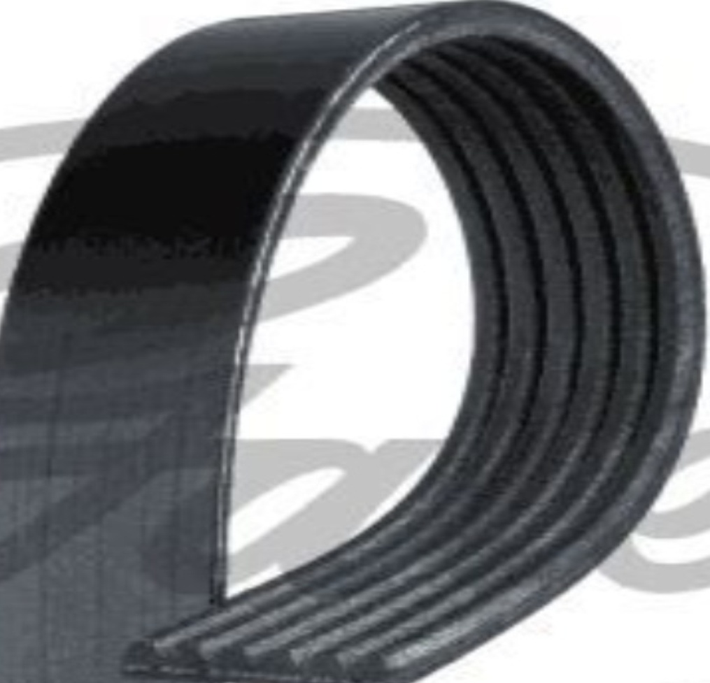 V-Ribbed Belt 1853mm Length Fits Alfa Romeo Giulia Stelvio GATES 6PK1855