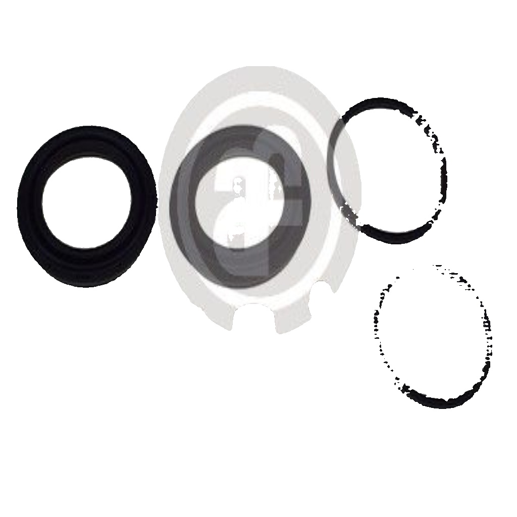 Brake caliper repair kit Front Axle D43125 AUTOFREN SEINSA for FIAT LANCIA DODGE