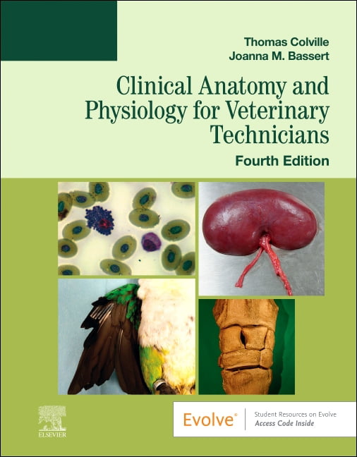 Clinical Anatomy and Physiology for Veterinary Technicians by Thomas P. Colvill - Image 3