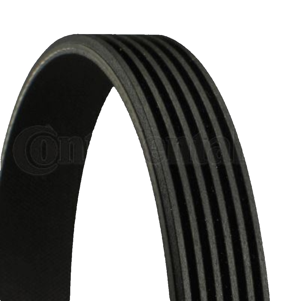 Original Continental CTAM V-Ribbed Belt 6PK1240 for Audi Ford Mitsubishi