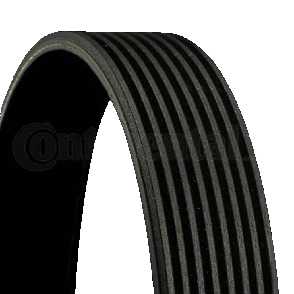 Original CONTINENTAL CTAM V-Belt 8PK980