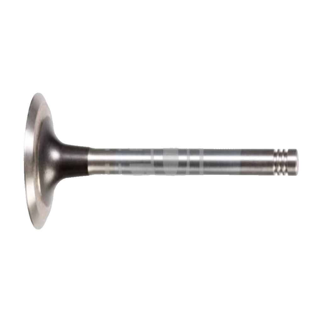FEBI BILSTEIN 12824 Outlet valve for BMW,LAND ROVER