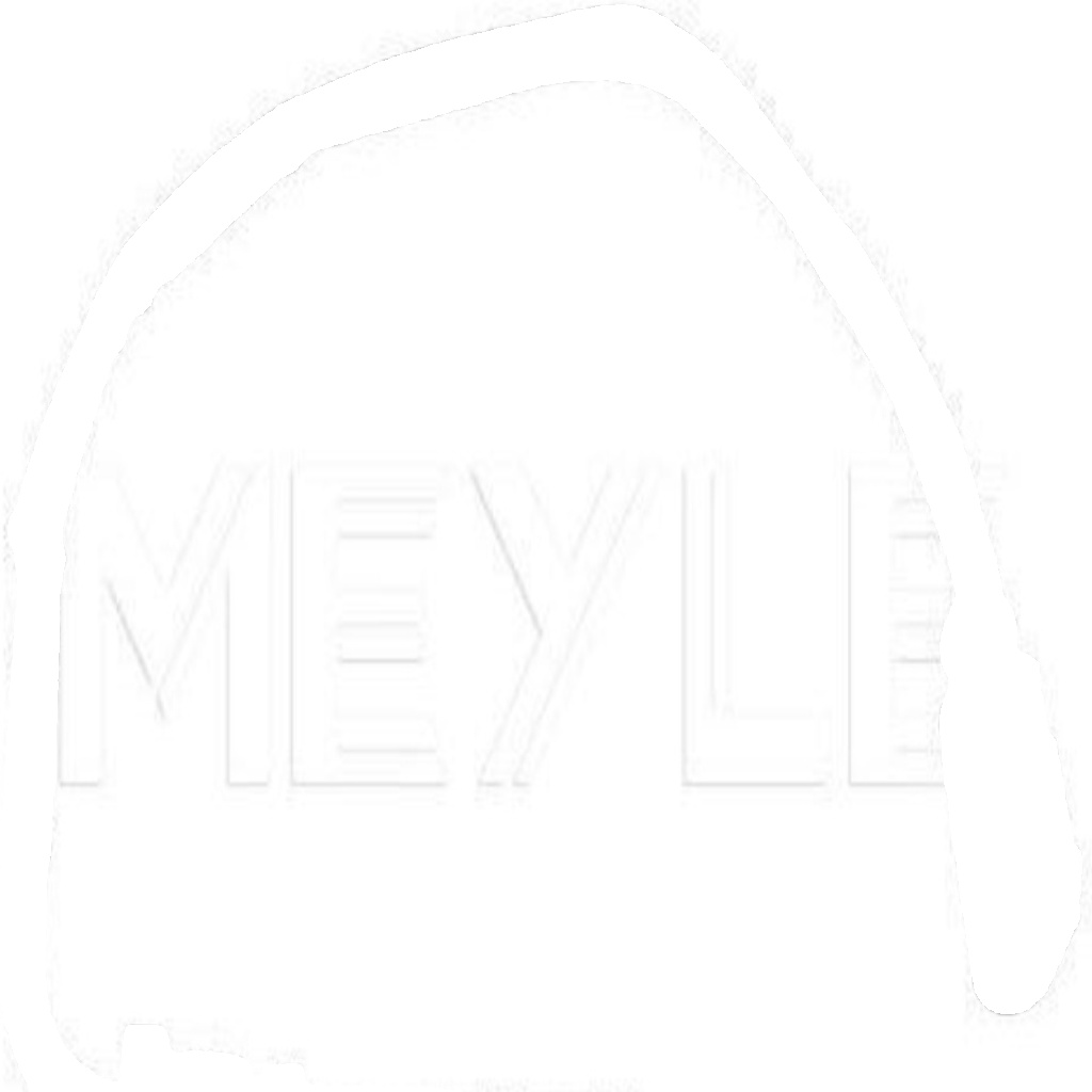 Original MEYLE Exhaust Temperature Sensor 114 800 0216 for Porsche VW