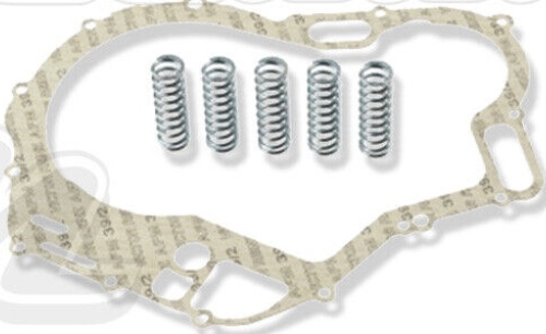 TRW MSK229 Superkit Disc Kit + Separator + Springs + Gasket