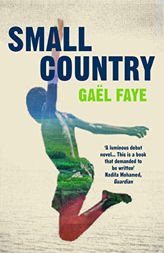 Small Country by Gal Faye, Sarah Ardizzone - 9781784705930 - Image 4