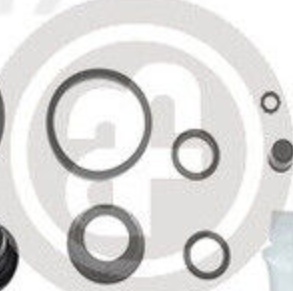 Fits AUTOFREN SEINSA D4-853C Disc brake caliper repair kit D4-853C Br ⭐UK Stock⭐
