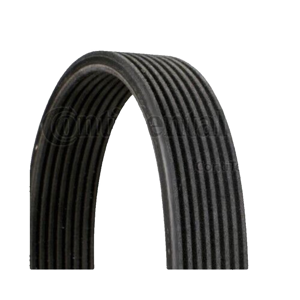 8DPK1833 CONTINENTAL CTAM V-Ribbed Belt for BMW