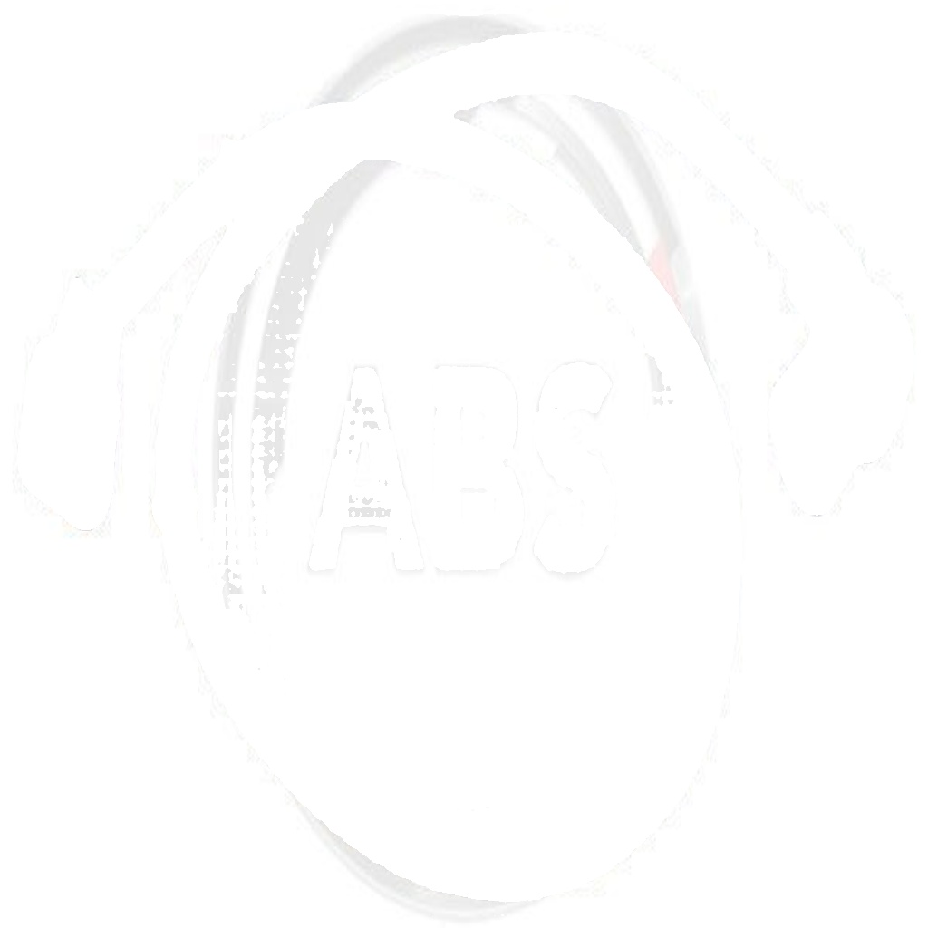 30977 A.B.S. Sensor, wheel speed for MITSUBISHI