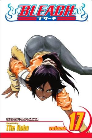 Bleach, Vol. 17 Volume 17